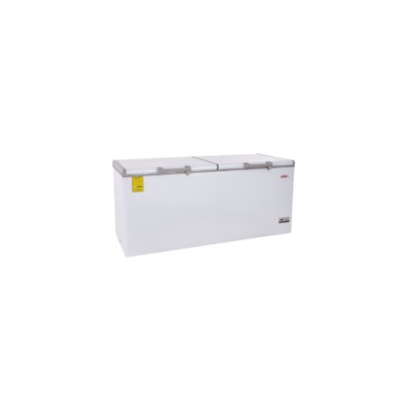 Congelador horizontal 25.4 Ft³ CHTC-255D TORREY
